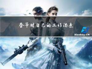 春节对自己的工作满意吗