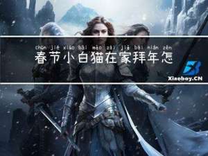 春节小白猫在家拜年怎么画