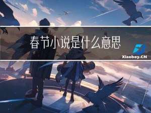 春节小说是什么意思