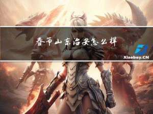 春节山东治安怎么样