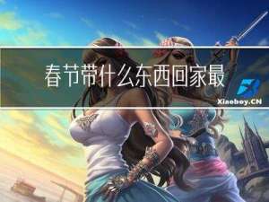 春节带什么东西回家最好