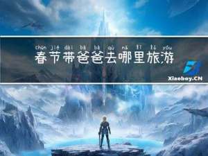 春节带爸爸去哪里旅游作文