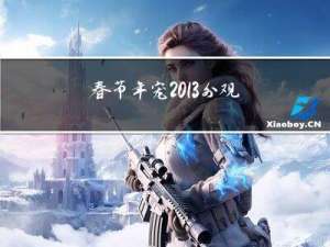 春节年宠2013外观怎样