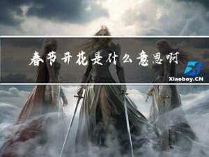 春节开花是什么意思啊