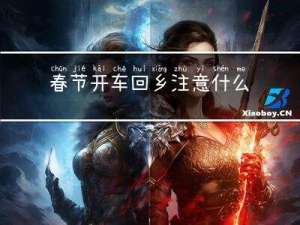 春节开车回乡注意什么