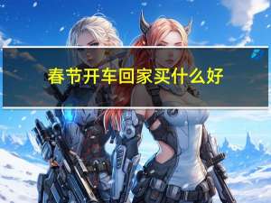 春节开车回家买什么好