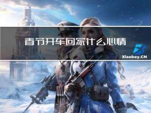 春节开车回家什么心情作文