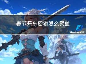春节开车回家怎么买单呢