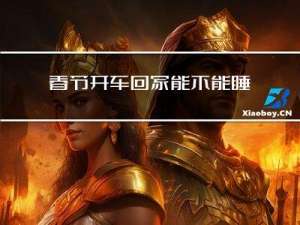 春节开车回家能不能睡觉