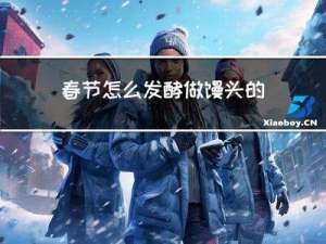春节怎么发酵做馒头的