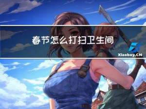 春节怎么打扫卫生间