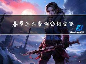 春节怎么查询公积金贷款