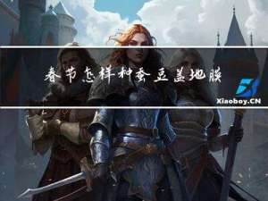 春节怎样种蚕豆盖地膜视频