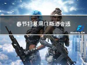 春节扫墓用几瓶酒合适