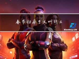 春节扫房子又叫什么