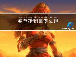 春节抢到票怎么退