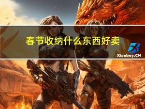 春节收纳什么东西好卖