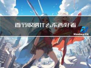 春节收纳什么东西好看