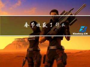 春节收获了什么