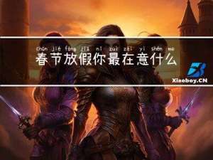 春节放假你最在意什么