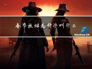 春节放烟花那些叫什么