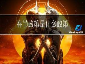 春节政策是什么政策