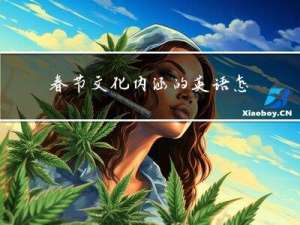 春节文化内涵的英语怎么写