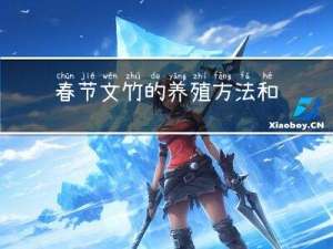 春节文竹的养殖方法和技术