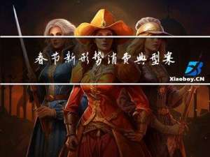 春节新形势消费典型案例