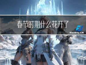 春节时期什么花开了