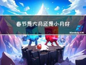 春节是大月还是小月好