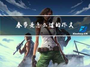 春节是怎么过的作文