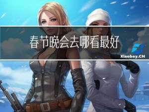 春节晚会去哪看最好