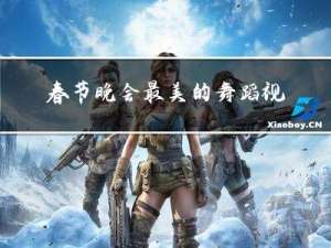 春节晚会最美的舞蹈视频