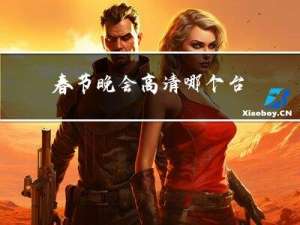 春节晚会高清哪个台