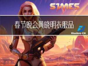 春节晚会黄晓明衣服品牌