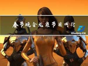春节晚会龙泉节目叫什么