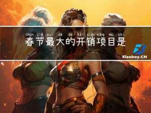 春节最大的开销项目是什么