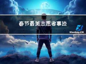 春节最美志愿者事迹