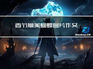 春节最美蝴蝶图片作文