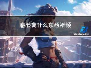 春节有什么东西视频