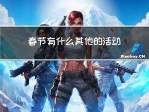春节有什么其他的活动英语