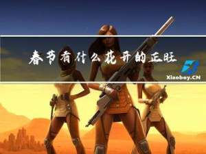 春节有什么花开的正旺盛