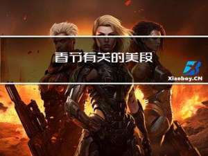 春节有关的美段