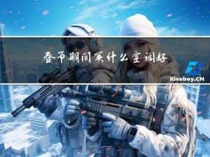 春节期间买什么空调好用