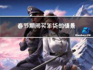 春节期间买年货的情景描述
