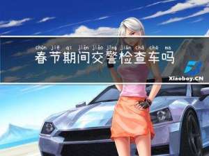 春节期间交警检查车吗