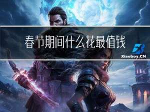春节期间什么花最值钱