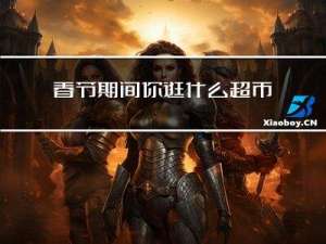 春节期间你逛什么超市作文