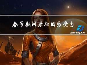 春节期间兼职的感受怎么写